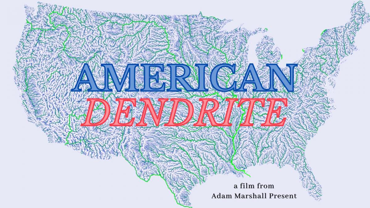 American Dendrite